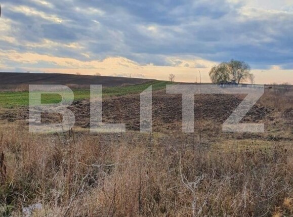 Teren de vânzare Nord-Est - 104067TV | BLITZ Târgoviște | Poza3