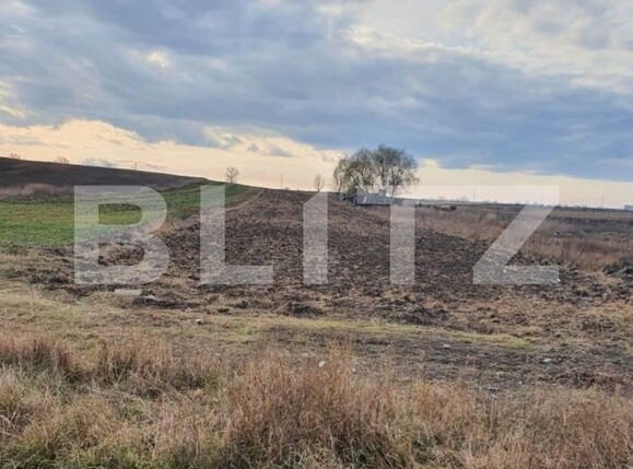 Teren de vânzare Nord-Est - 104067TV | BLITZ Târgoviște | Poza4