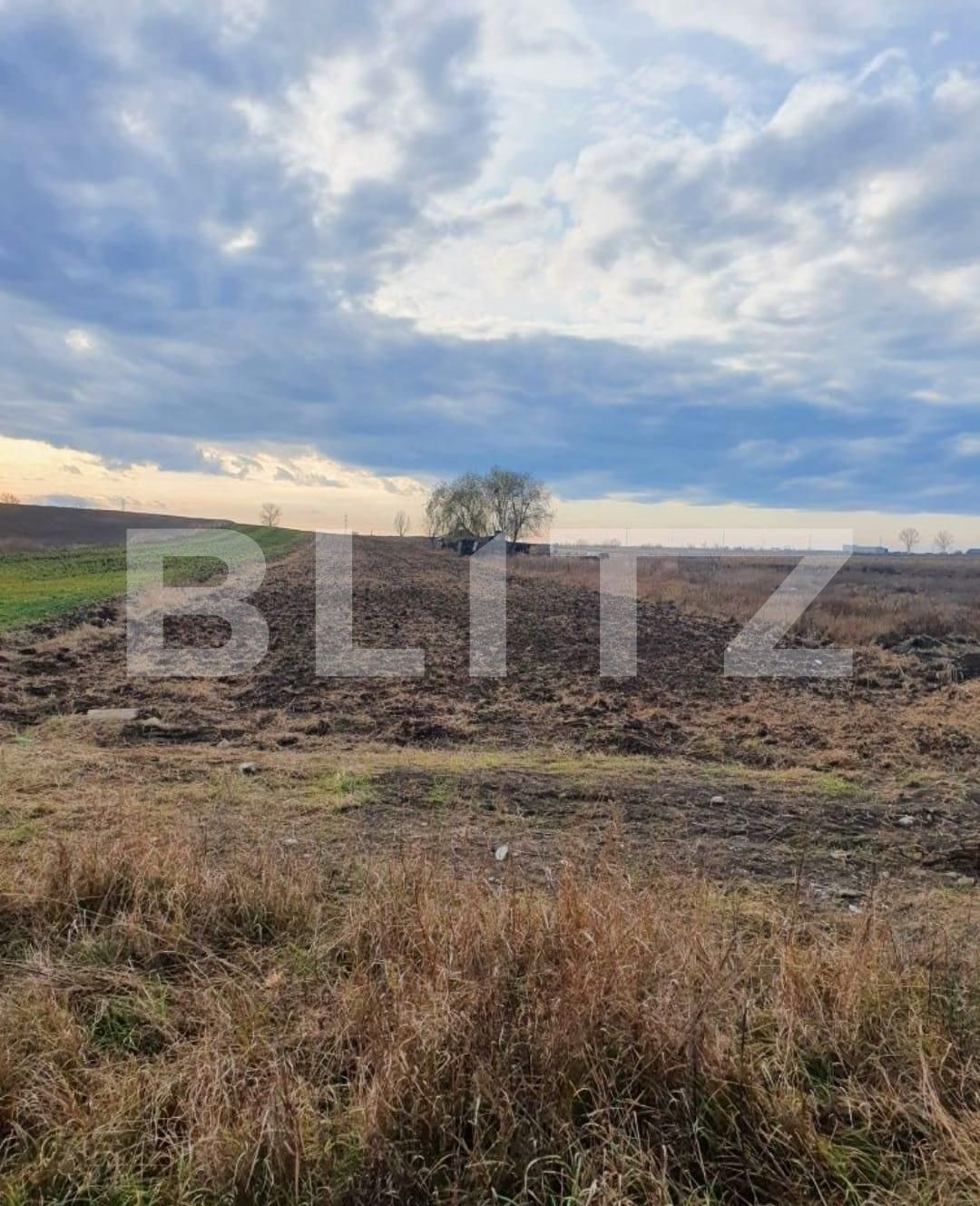 Teren de vânzare Nord-Est - 104067TV | BLITZ Târgoviște | Poza6