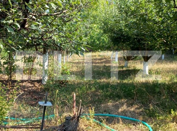 Casa de vânzare 3 camere Sud - 104139CV | BLITZ Târgoviște | Poza5