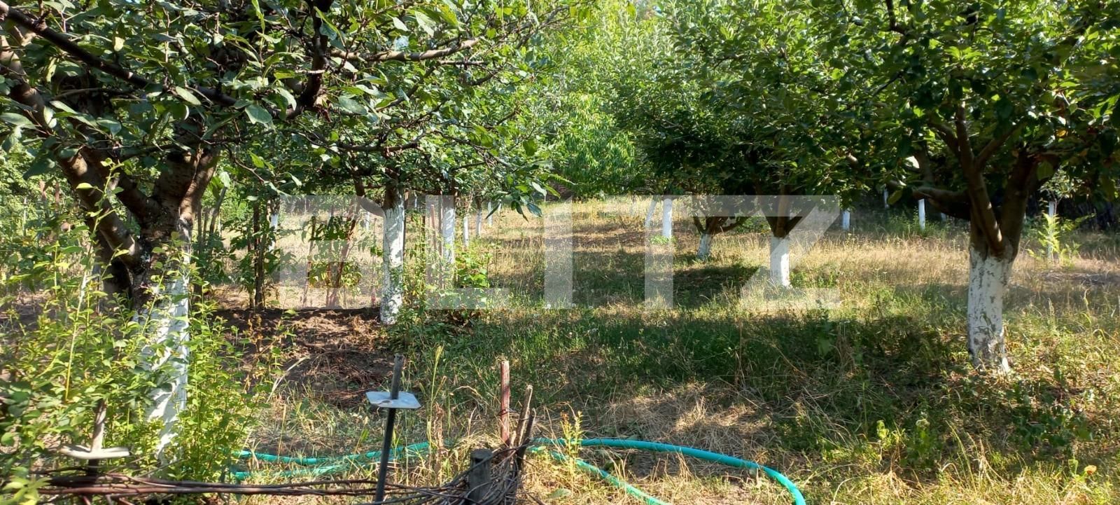 Casa de vânzare 3 camere Sud - 104139CV | BLITZ Târgoviște | Poza5