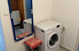 Garsoniera spatioasa, 34 mp, Micro 6