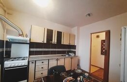 Apartament cu 2 camere, 49 mp, Ionel Fernic