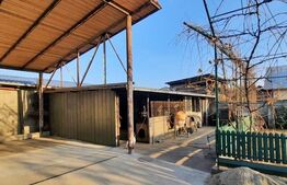 Casa 4+ camere, 150 mp, Exterior Sud