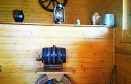 Cabana 50 mp, livada 2300 mp, Pucheni