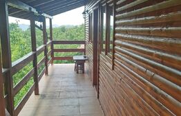 Cabana 50 mp, livada 2300 mp, Pucheni