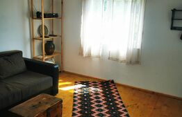 Cabana 50 mp, livada 2300 mp, Pucheni