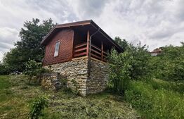 Cabana 50 mp, livada 2300 mp, Pucheni