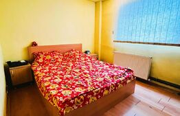 Apartament 2 camere,50 mp,Parter ,Micro 4