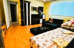 Apartament 2 camere,50 mp,Parter ,Micro 4