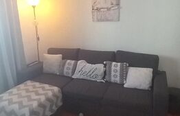 Apartament 2 camere, semidecomandat, mobilat, etaj 3, 50mp, Micro 11
