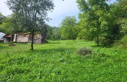 Casa, 60 mp, Rau Alb