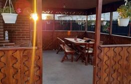 Casă familială 360mp utili, 2200mp teren Gura Șuții