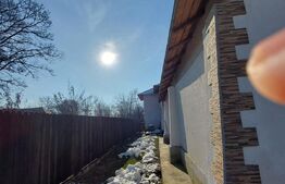 Casă familială 360mp utili, 2200mp teren Gura Șuții