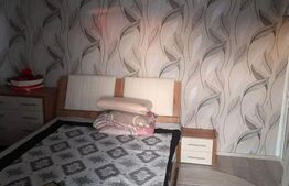 Casă familială 360mp utili, 2200mp teren Gura Șuții