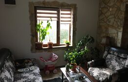 Casa familială 200mp utili, 1100mp teren, Târgoviste.