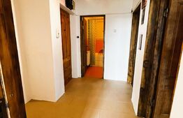 Apartament  3 camere,70 mp,etaj 4, Bulevardul Castanilor