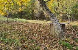 OCAZIE UNICĂ...Casă individuală 130mp, 1300mp teren, Razvad.