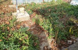 OCAZIE UNICĂ...Casă individuală 130mp, 1300mp teren, Razvad.