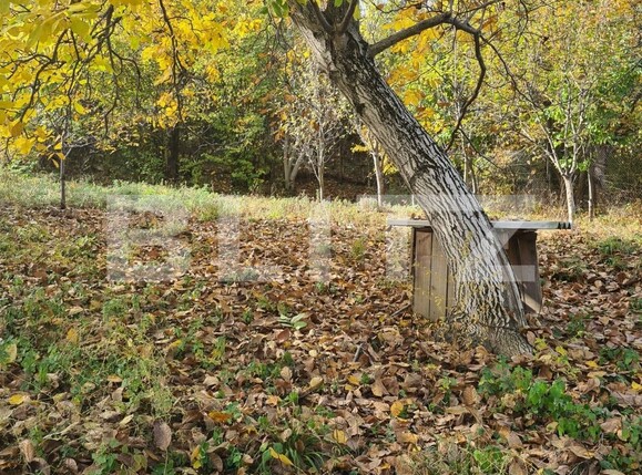 Casa de vânzare 4 camere Nord-Est - 109484CV | BLITZ Târgoviște | Poza10