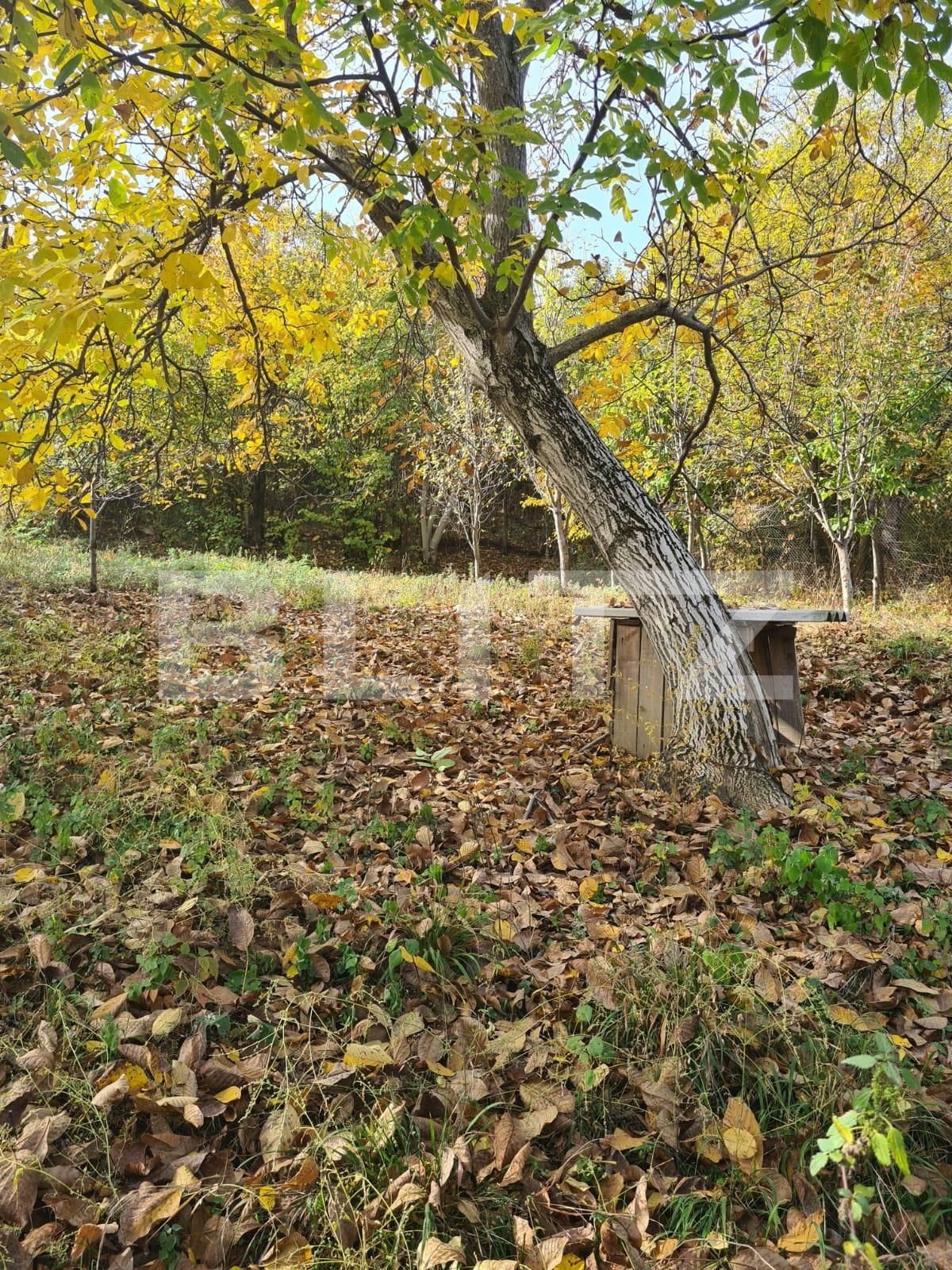 Casa de vânzare 4 camere Nord-Est - 109484CV | BLITZ Târgoviște | Poza10