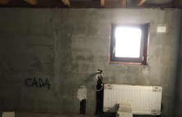 Casă familială 170mp, teren 1400mp Moreni