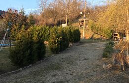 Cabană de agrement cu lac, teren 3450mp, Adanca, Targoviste.