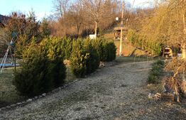 Cabană cu lac de agrement, teren 3450mp, Adanca Targoviste