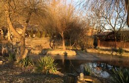 Cabană cu lac de agrement, teren 3450mp, Adanca Targoviste