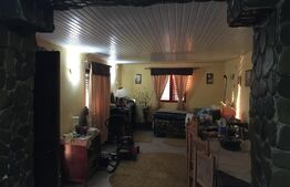 Cabană cu lac de agrement, teren 3450mp, Adanca Targoviste