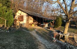 Cabană cu lac de agrement, teren 3450mp, Adanca Targoviste