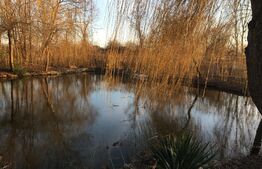 Cabană cu lac de agrement, teren 3450mp, Adanca Targoviste