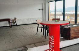 Spatiu comercial, 220mp, Pucioasa