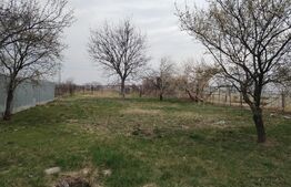 Oportunitate Casă 140mp utili, 1000mp teren Targoviște