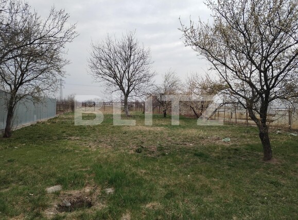 Casa de vânzare 3 camere Ulmi - 111957CV | BLITZ Târgoviște | Poza10