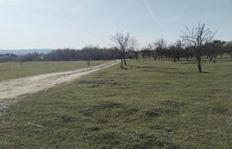 Teren intravilan cu suprafață de 9ha, Aninoasa