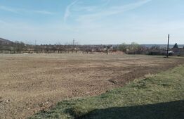 Teren intravilan cu suprafață de 9ha, Aninoasa