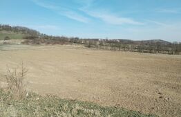 Teren intravilan cu suprafață de 9ha, Aninoasa