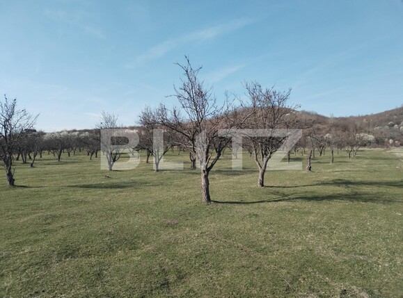 Teren de vânzare Exterior Nord - 112176TV | BLITZ Târgoviște | Poza7