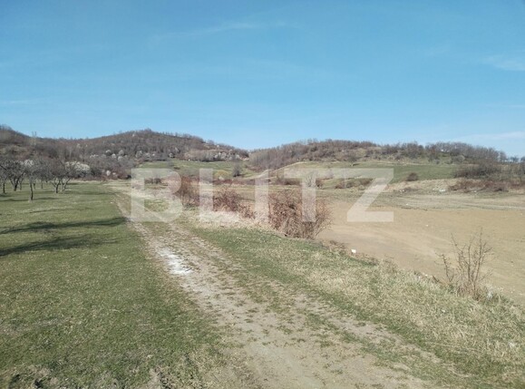 Teren de vânzare Exterior Nord - 112176TV | BLITZ Târgoviște | Poza2