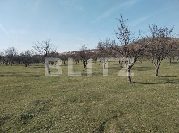 Teren de vânzare Exterior Nord - 112176TV | BLITZ Târgoviște | Poza3