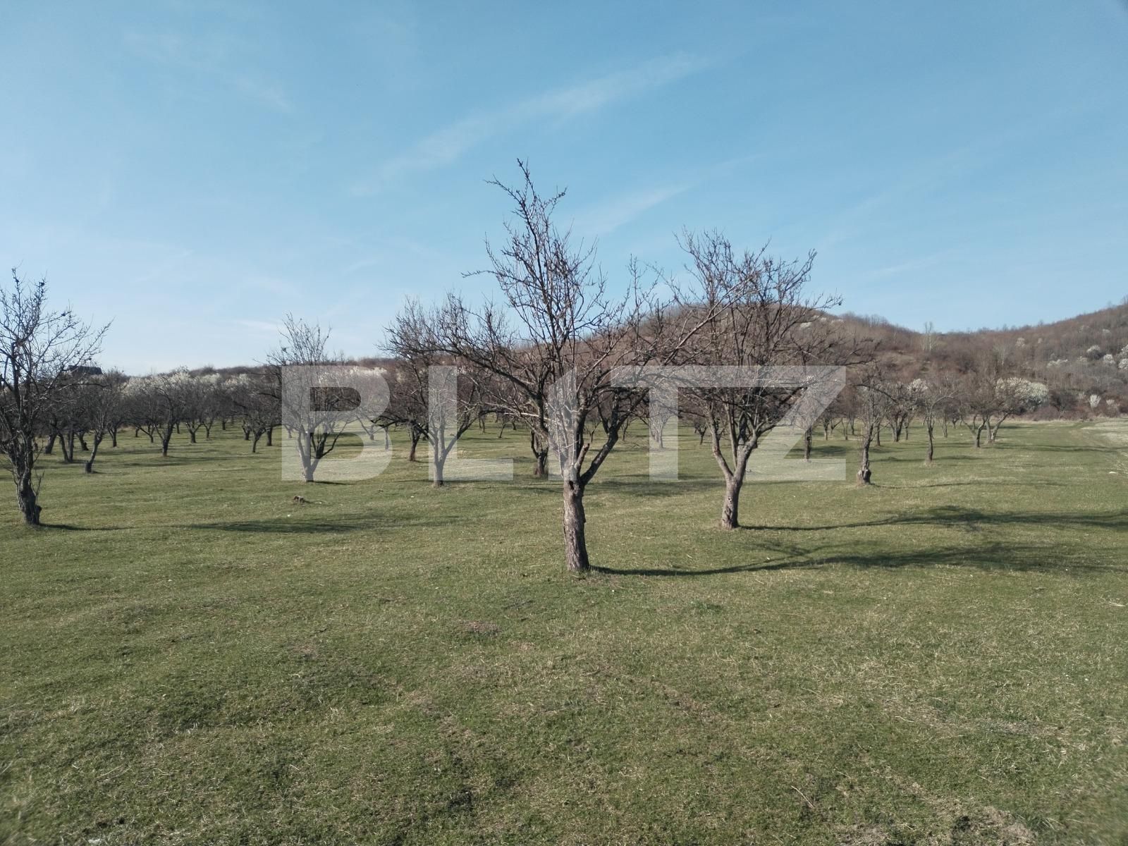 Teren de vânzare Exterior Nord - 112176TV | BLITZ Târgoviște | Poza7