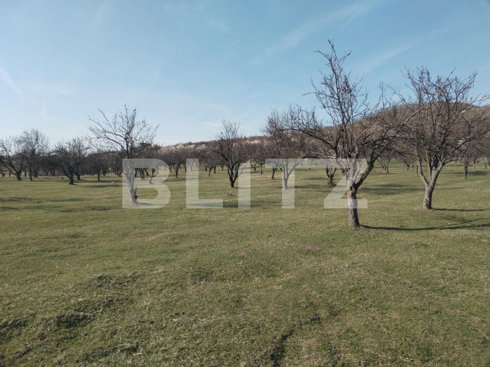 Teren de vânzare Exterior Nord - 112176TV | BLITZ Târgoviște | Poza3