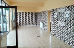 Casă pretabilă spațiu comercial cu terasă 150mp Târgoviște