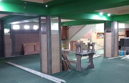 Spatiu comercial, 150 mp, Pucioasa