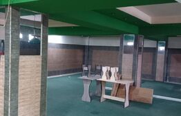 Spatiu comercial, 150 mp, Pucioasa