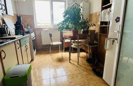 Apartament 2 camere ,55 mp, et 4 Micro 11