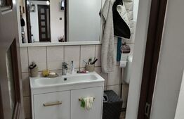 Ocazie... casă familială 103mp utili, 770mp teren Răzvad