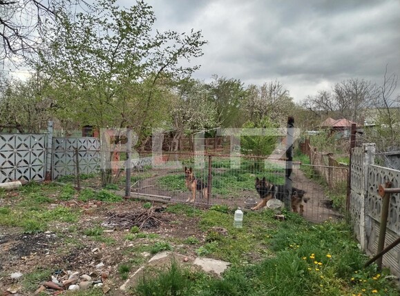 Casa de vânzare 3 camere Exterior Est - 114228CV | BLITZ Târgoviște | Poza20