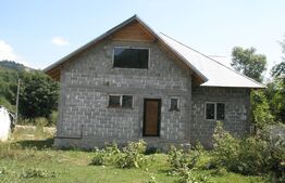 Vila zona montana -  localitatea RUNCU 